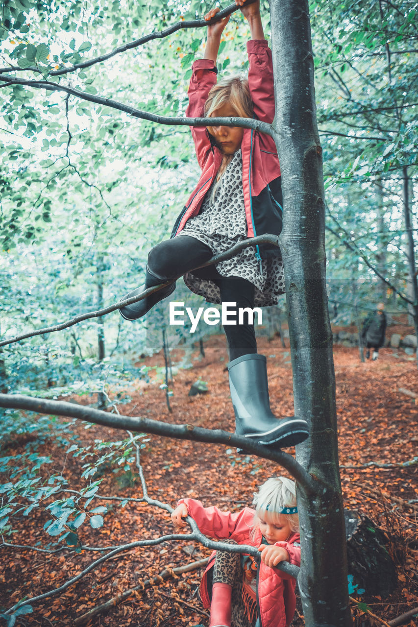 Playful siblings on tree at forest