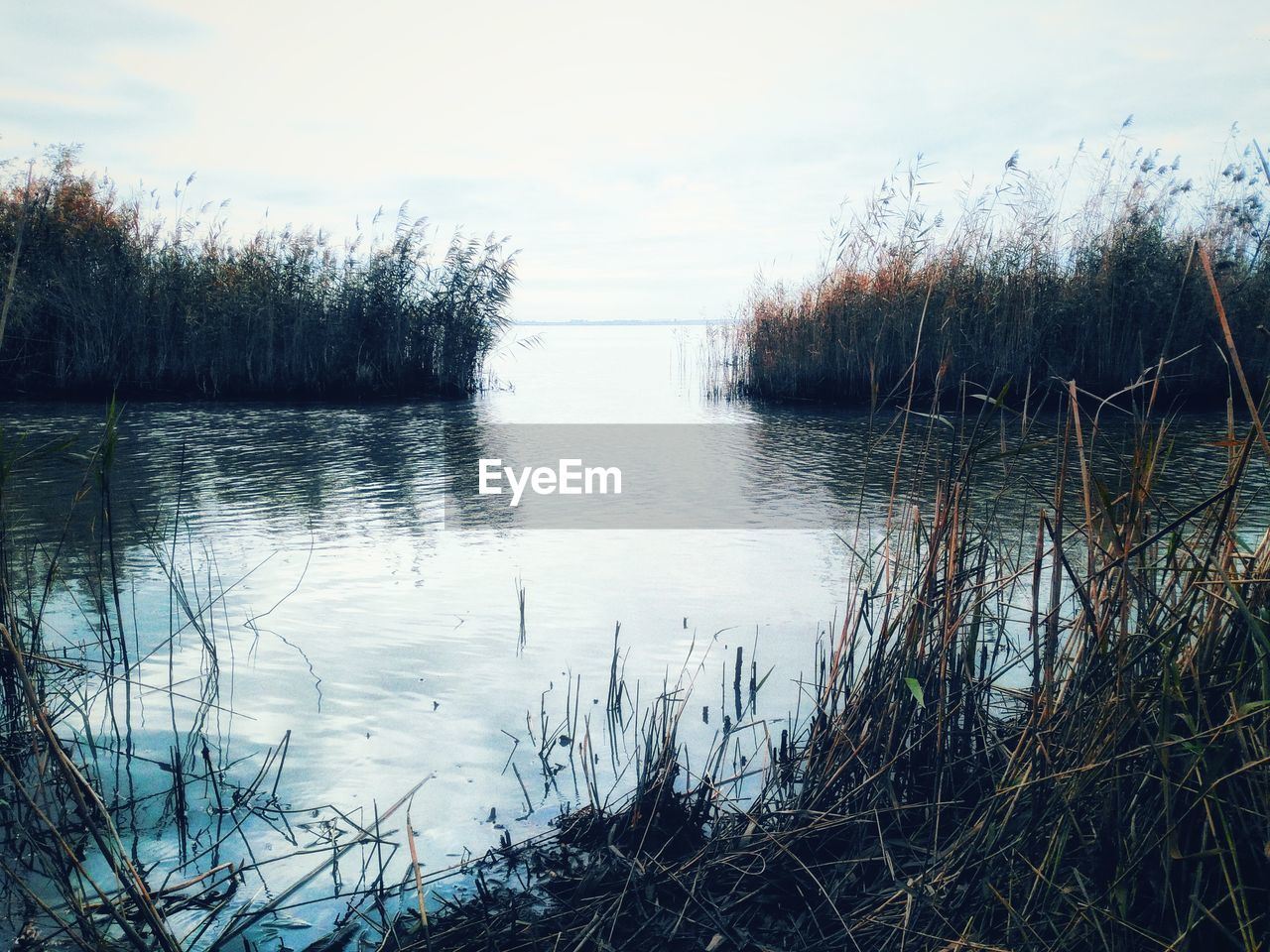 LAKE BY TREES AGAINST SKY