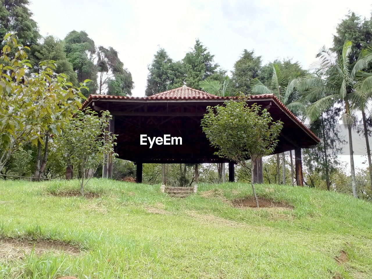 GAZEBO BY TREES AGAINST SKY