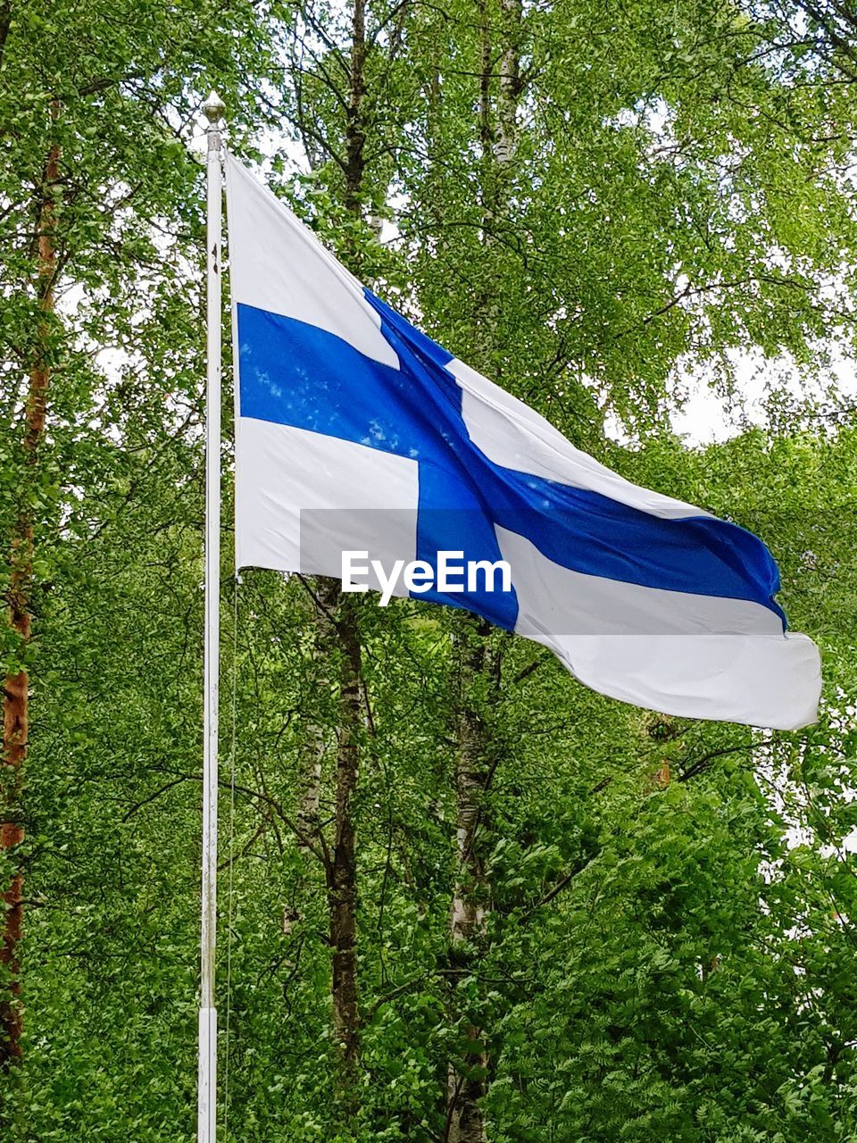 Low angle view of finnish flag against trees