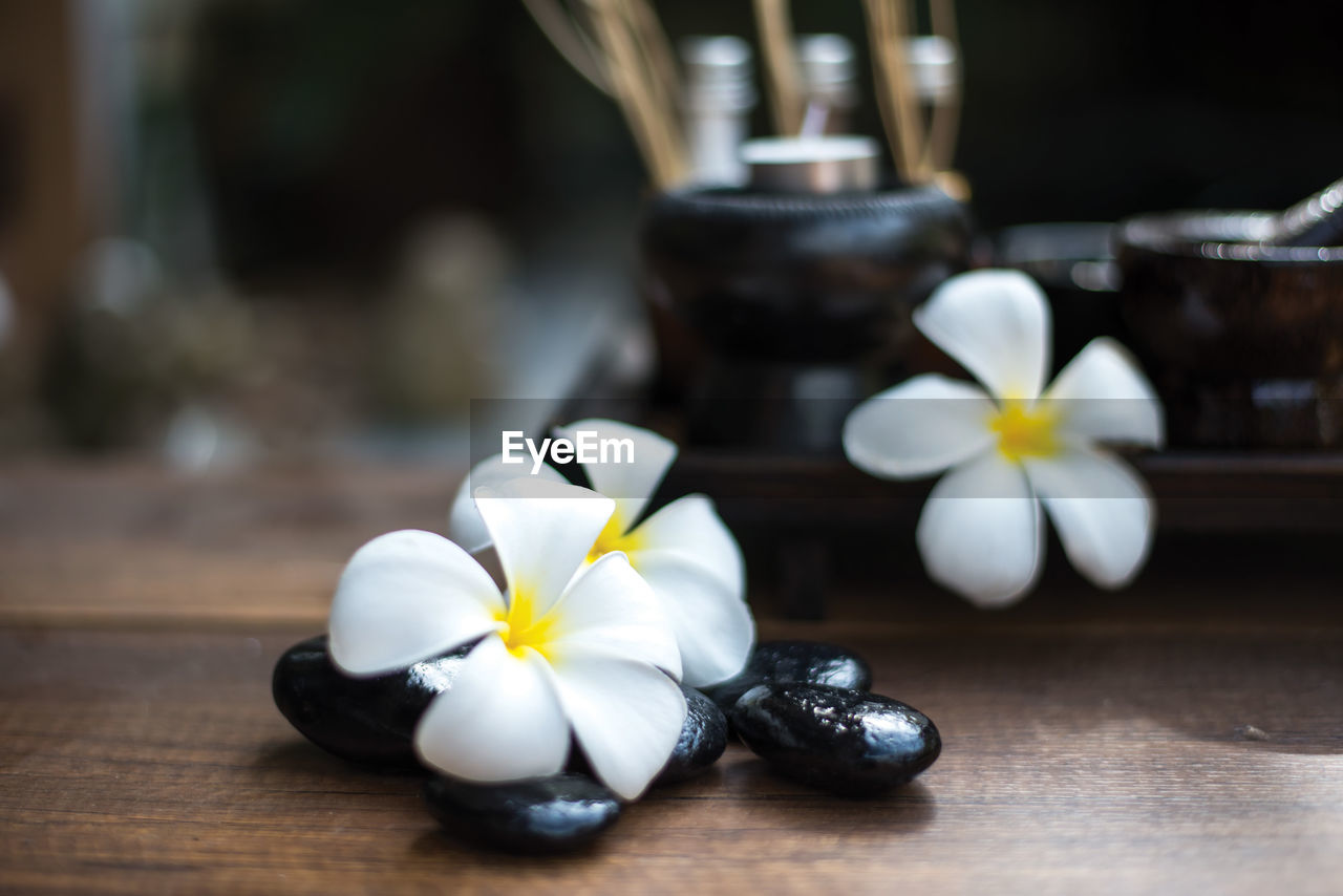 Close-up of flowers and equipment on table