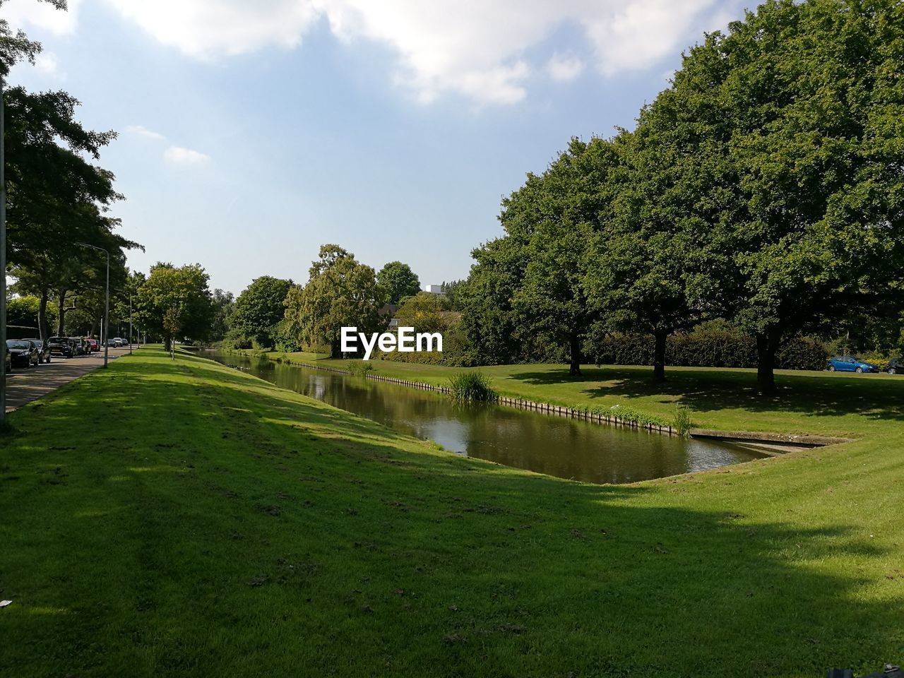 Scenic view of river amidst trees against sky