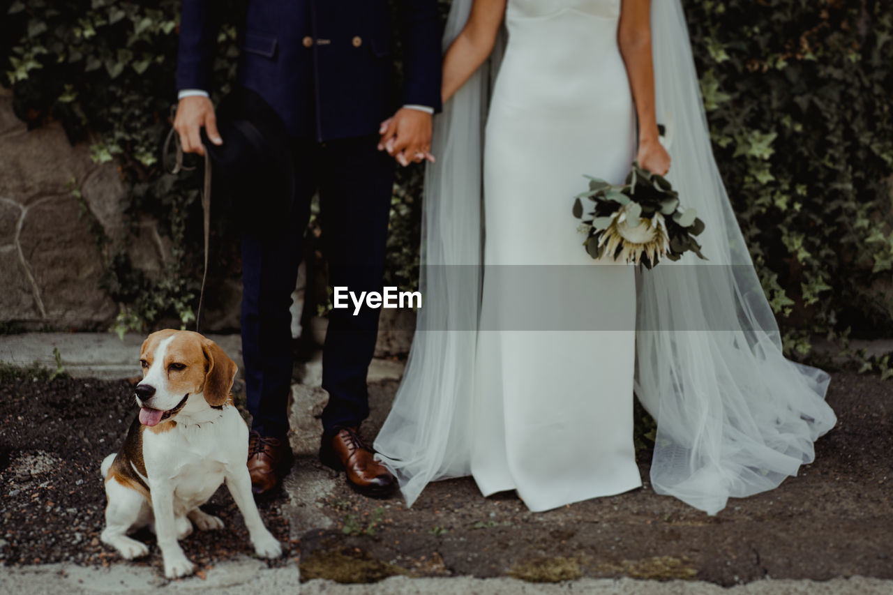 Low section of woman with dog standing on floor