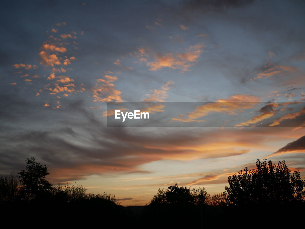 LOW ANGLE VIEW OF SILHOUETTE TREES AGAINST DRAMATIC SKY DURING SUNSET