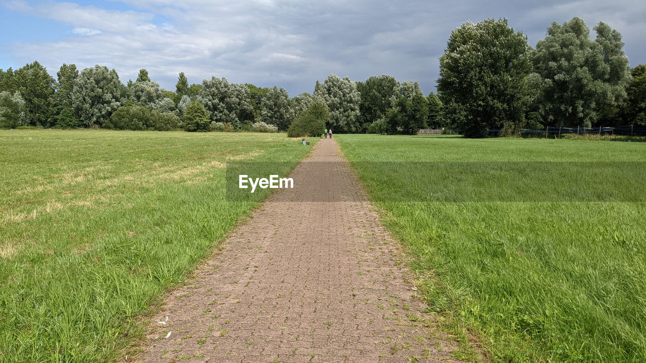 plant, tree, grass, field, sky, landscape, cloud, green, land, nature, pasture, grassland, environment, meadow, agriculture, soil, lawn, rural scene, rural area, the way forward, no people, growth, scenics - nature, tranquility, prairie, beauty in nature, footpath, diminishing perspective, day, tranquil scene, plain, outdoors, road, farm, non-urban scene, vanishing point, land lot, crop, plantation, hill