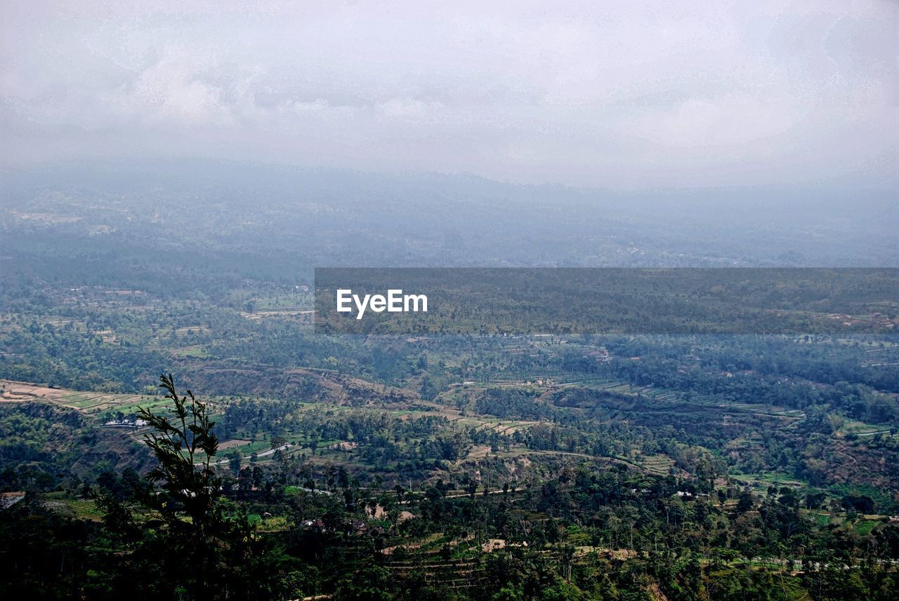 HIGH ANGLE VIEW OF TREES AND LANDSCAPE AGAINST SKY