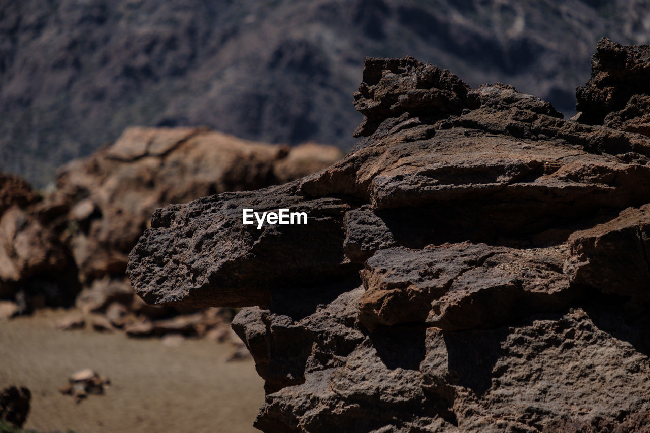 CLOSE-UP OF ROCK ON LAND