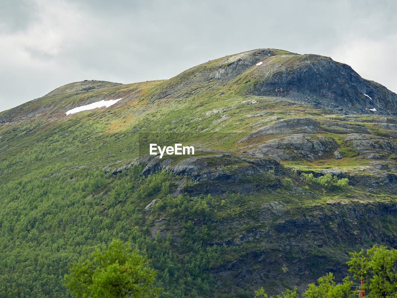 Scenic view of green landscape against sky