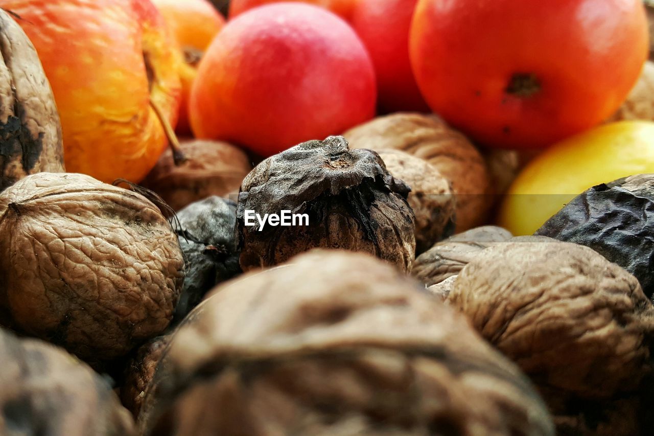 Close-up of walnuts