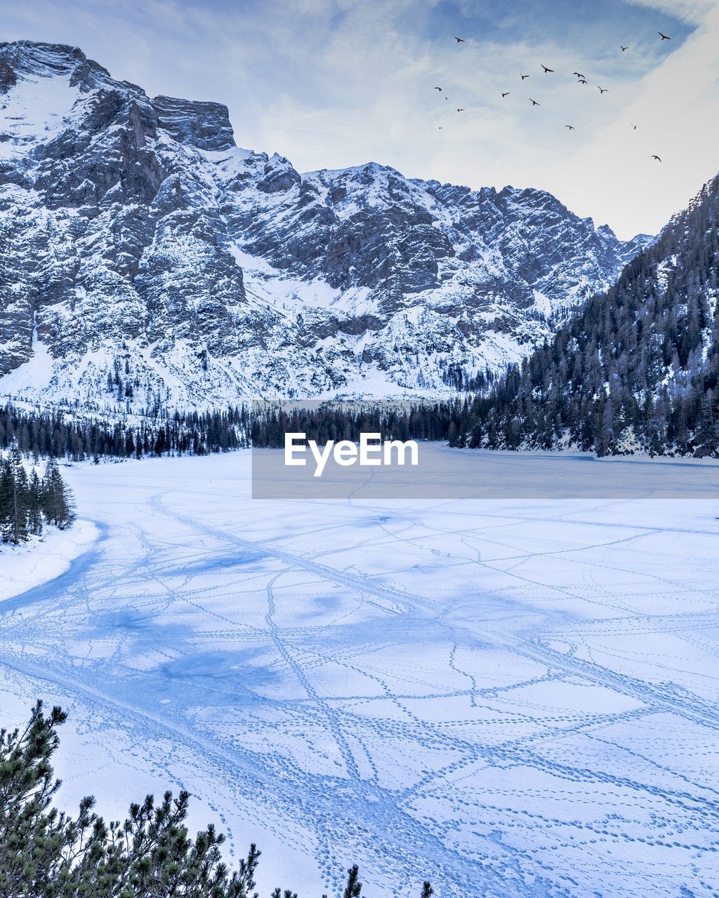 Scenic view of snow covered field against mountains