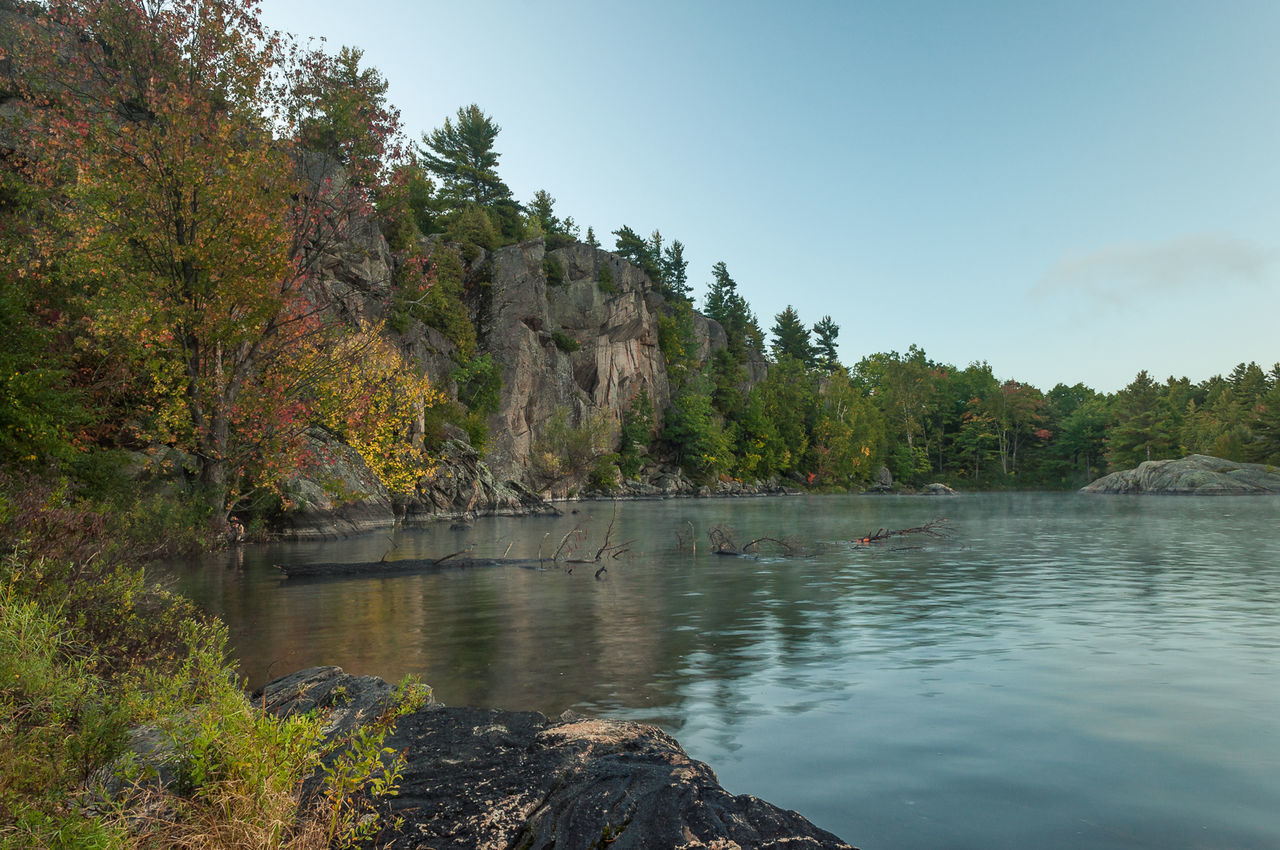 Scenic view of river surrounded by trees against sky