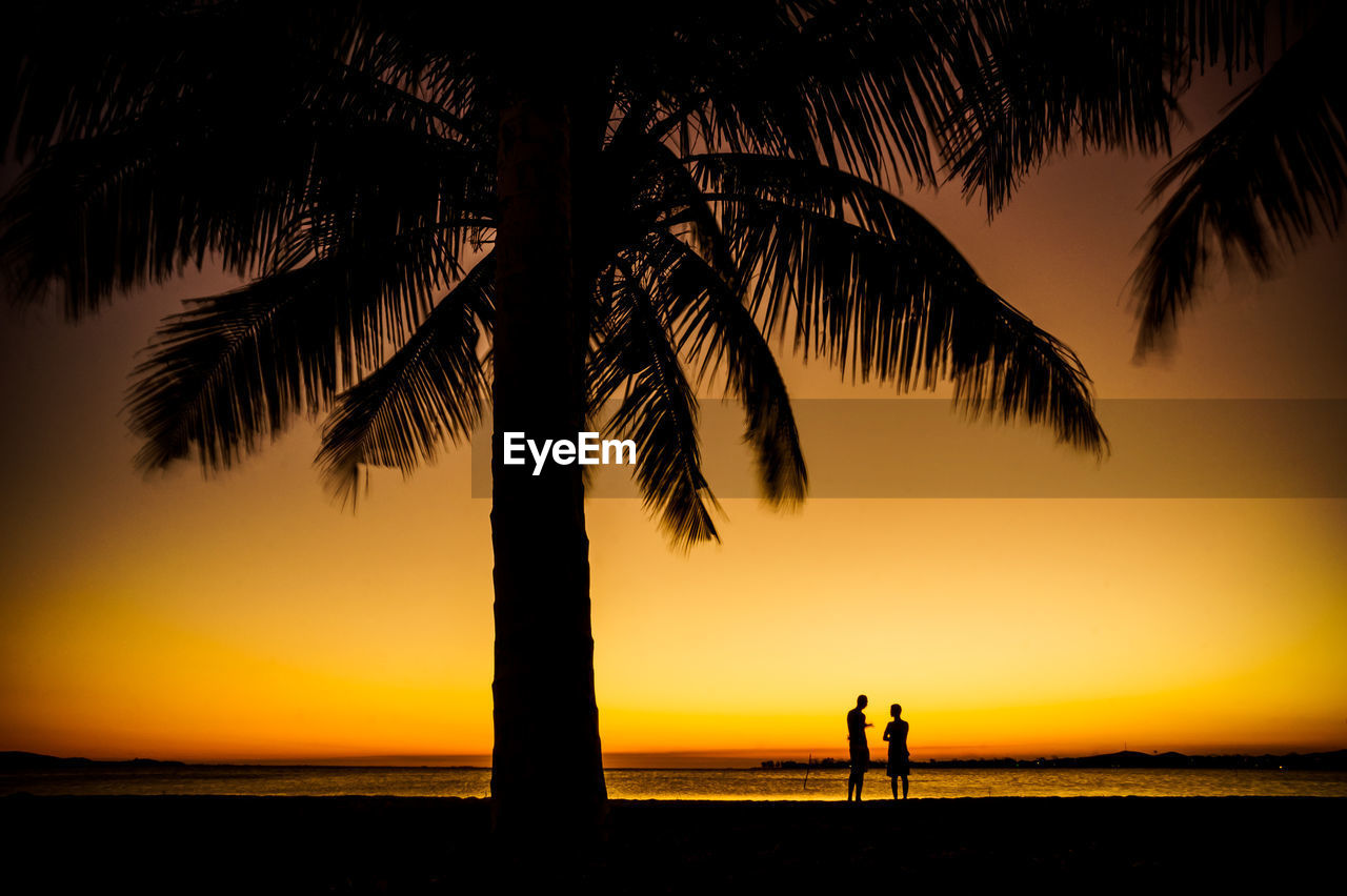 Silhouette friends standing at beach during sunset