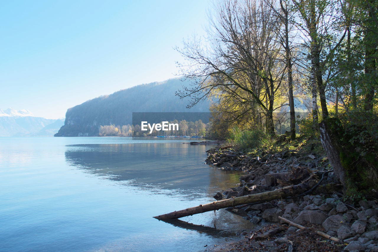 SCENIC VIEW OF LAKE AND TREES AGAINST SKY