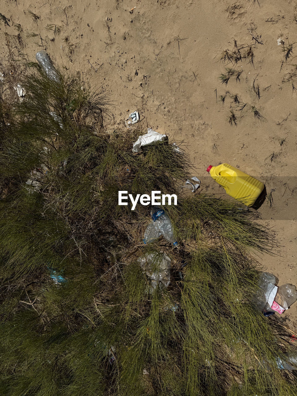 high angle view, land, nature, beach, day, sand, plant, no people, water, outdoors, grass, green