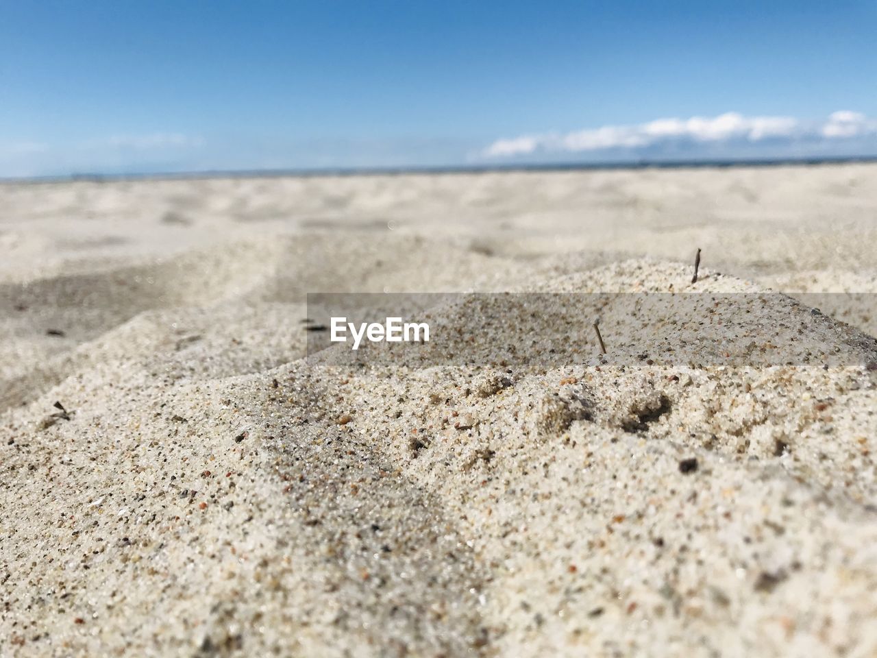 SURFACE LEVEL OF SAND DUNE ON BEACH