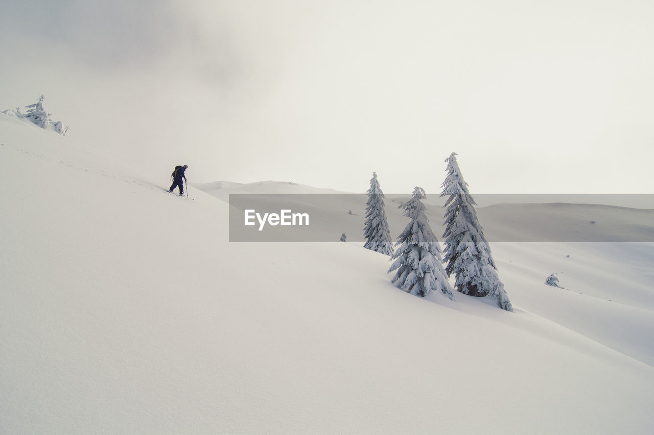 Skier going down ski hill landscape photo