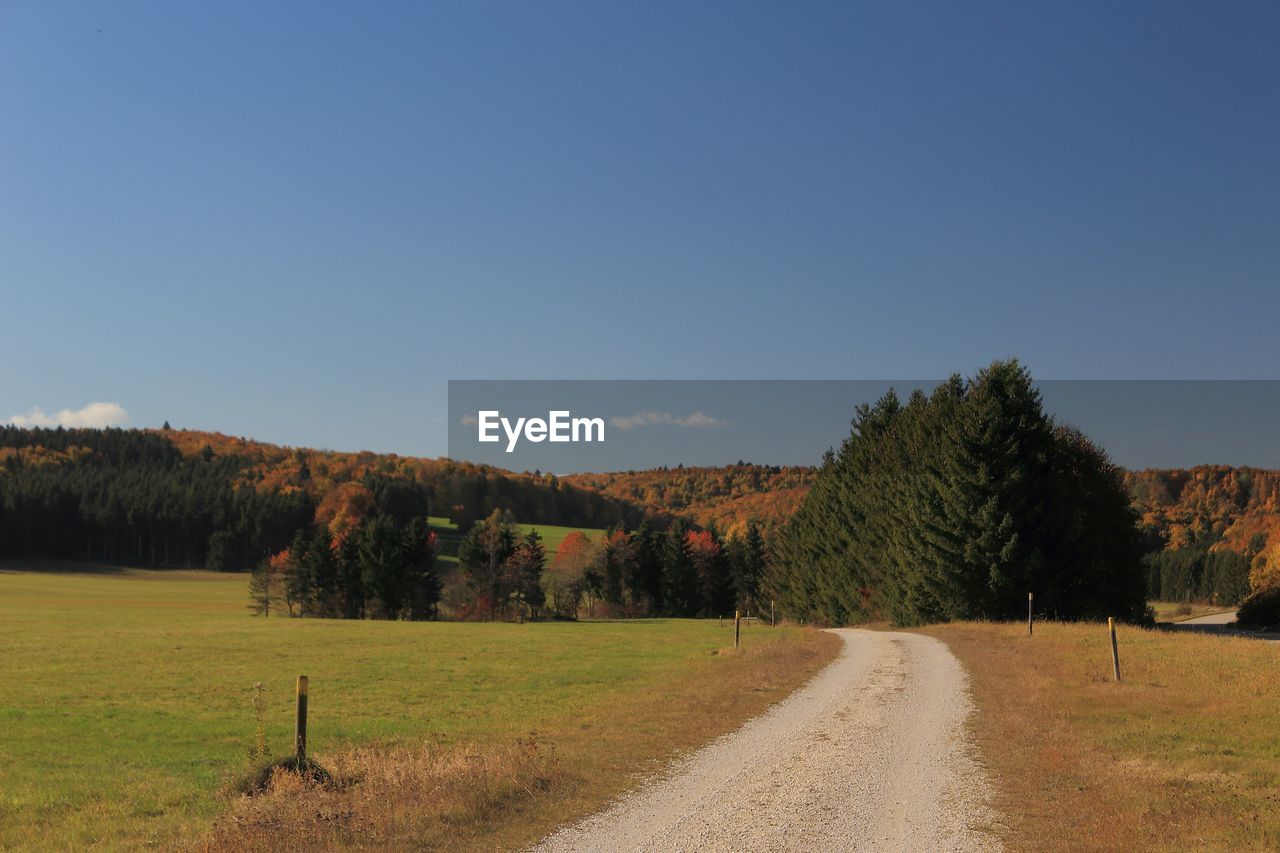 Road amidst trees on field against clear sky