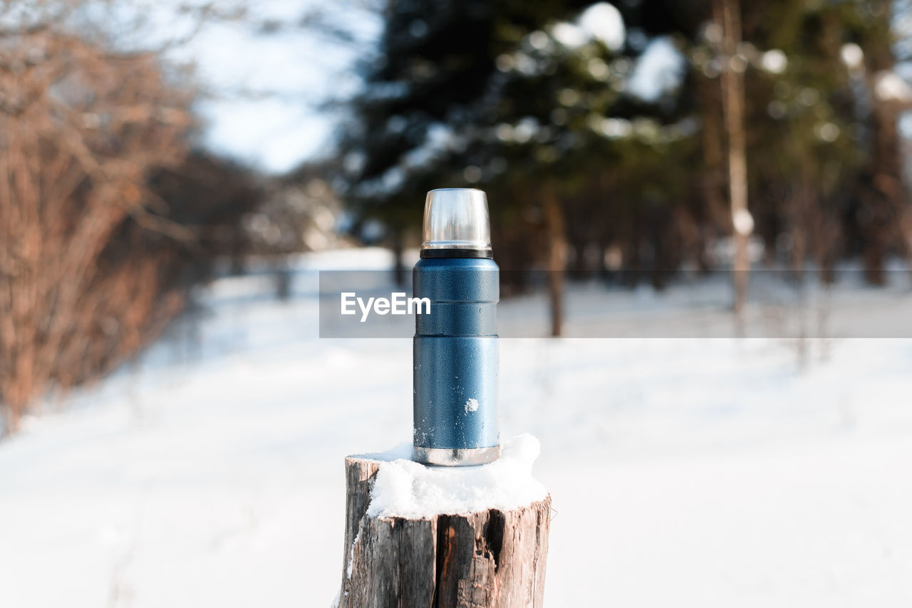 Camping blue thermos standing on a tree stump in a winter sunny forest. travel, camping concept