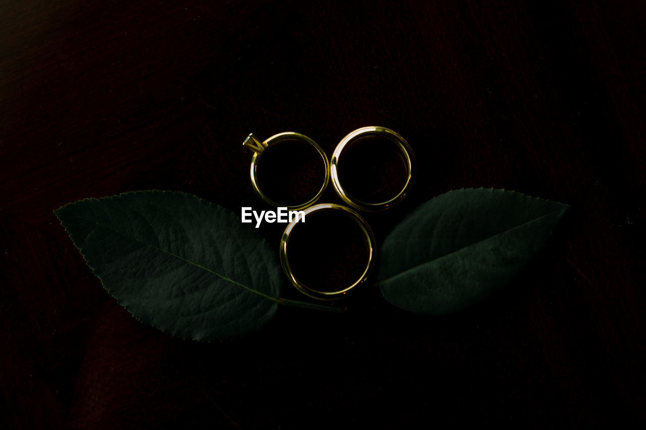 Close-up of rings on leaves against black background