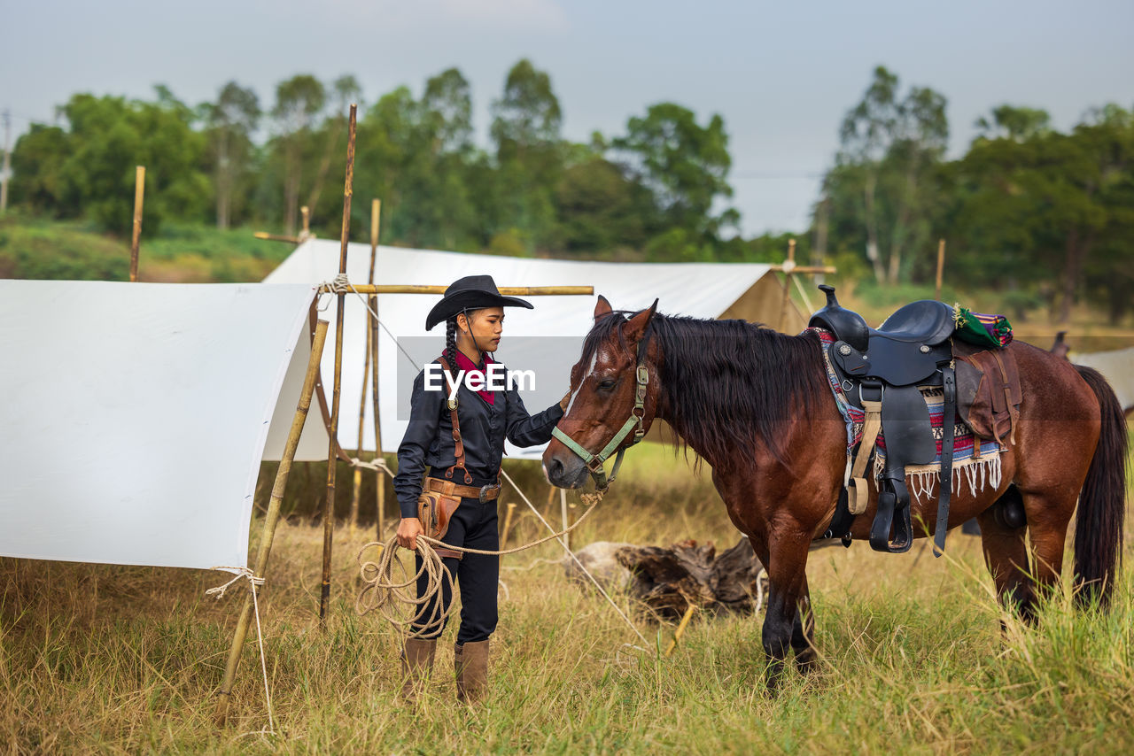 Horses on field