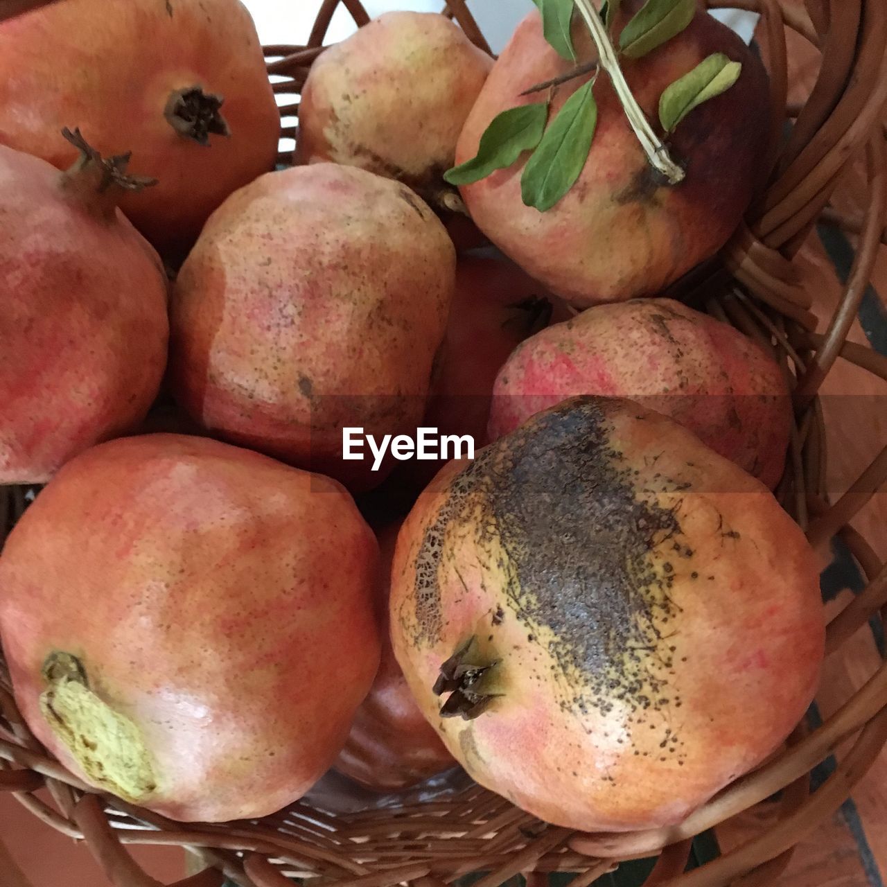CLOSE-UP OF ORANGES FOR SALE