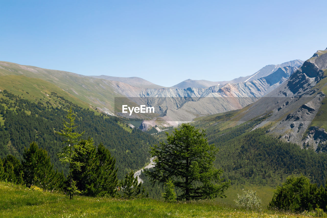 Scenic view of landscape against clear sky