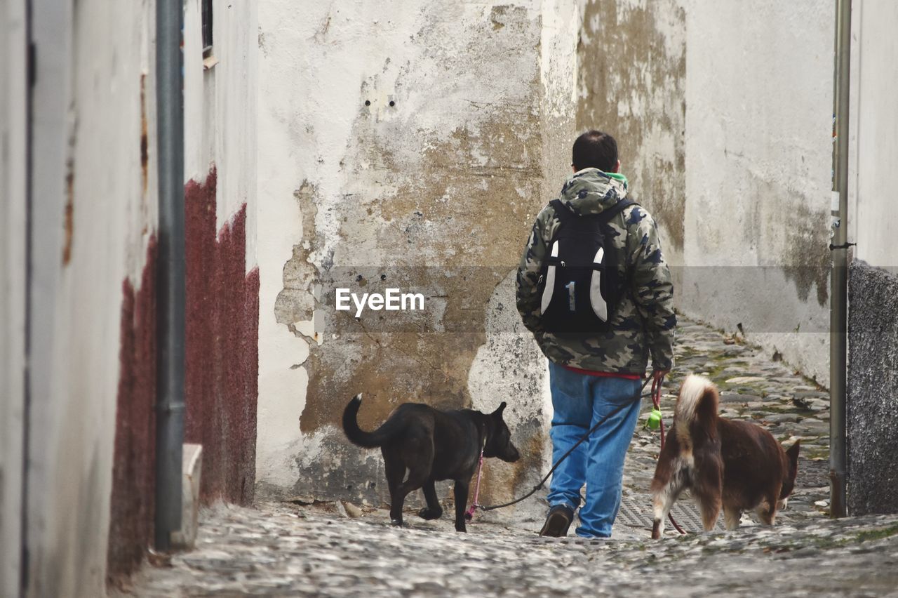REAR VIEW OF MAN WALKING WITH DOG ON STREET