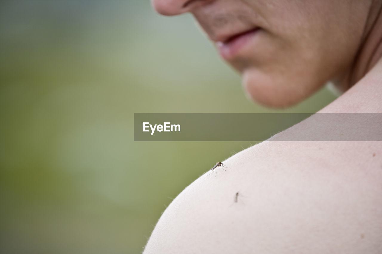 Close-up of mosquitoes on man's shoulder