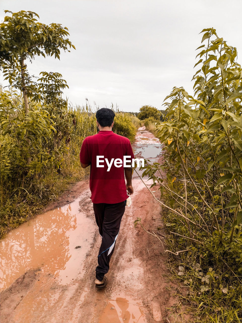 Rear view of man walking on street