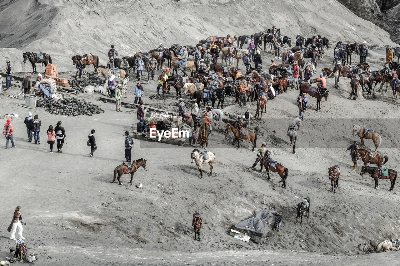 High angle view of people and horses