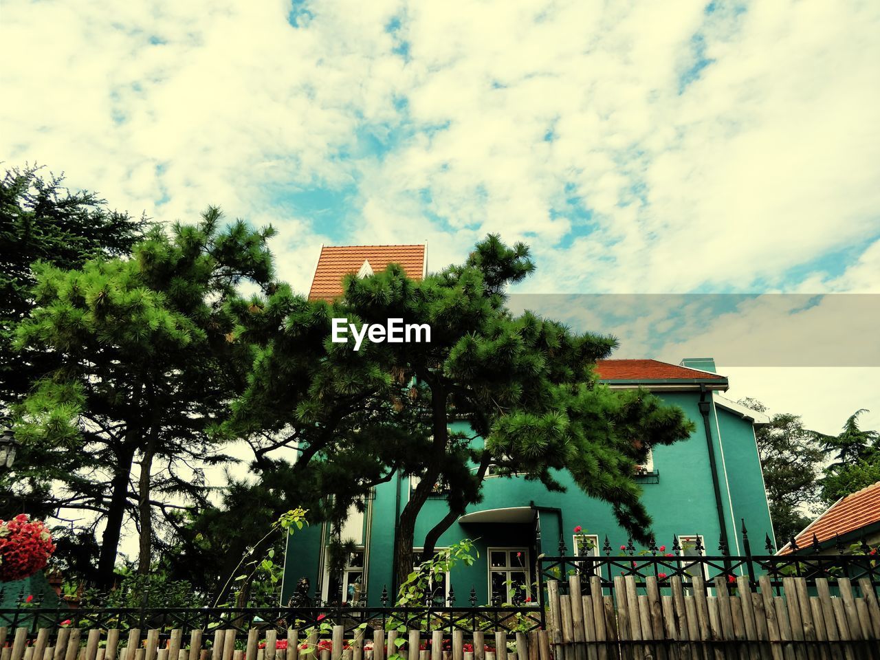 LOW ANGLE VIEW OF TREES AND CITY AGAINST SKY