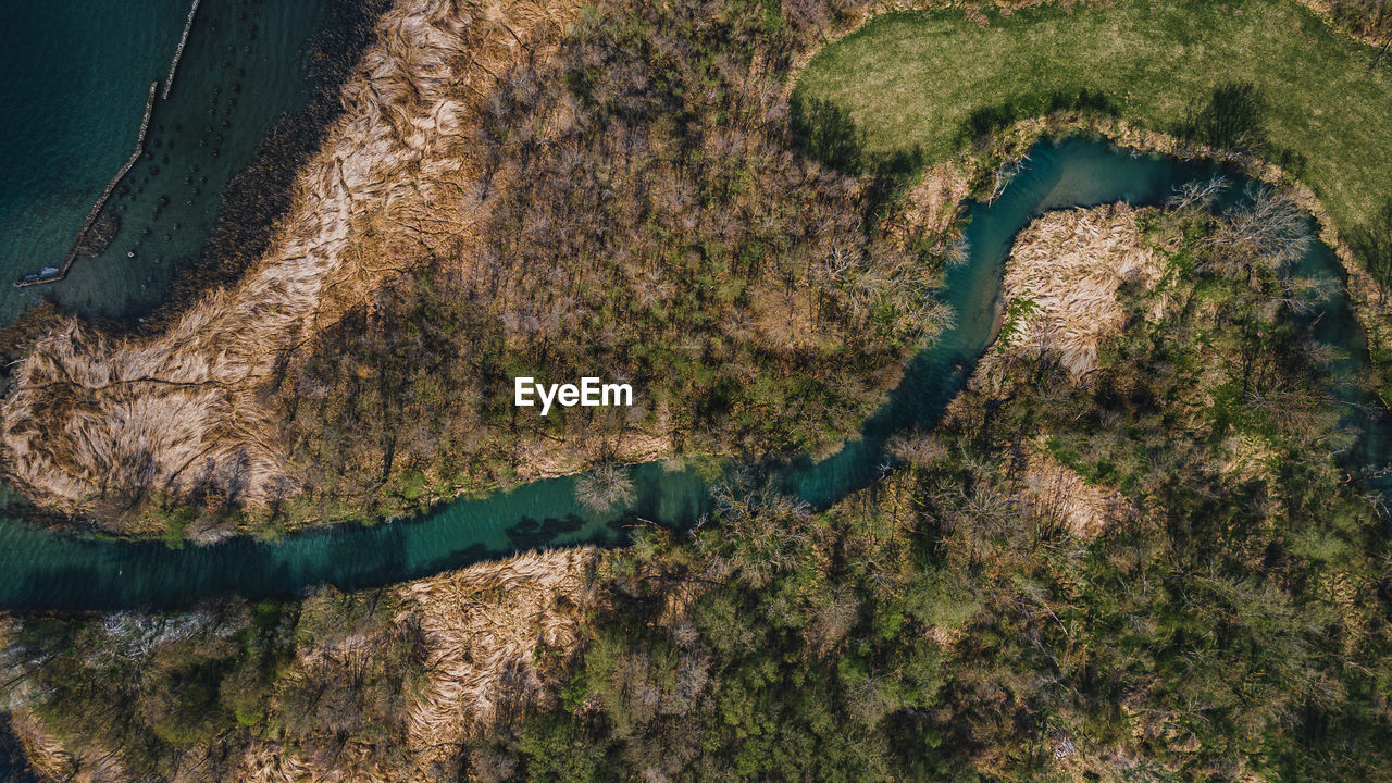 HIGH ANGLE VIEW OF PLANTS ON LANDSCAPE