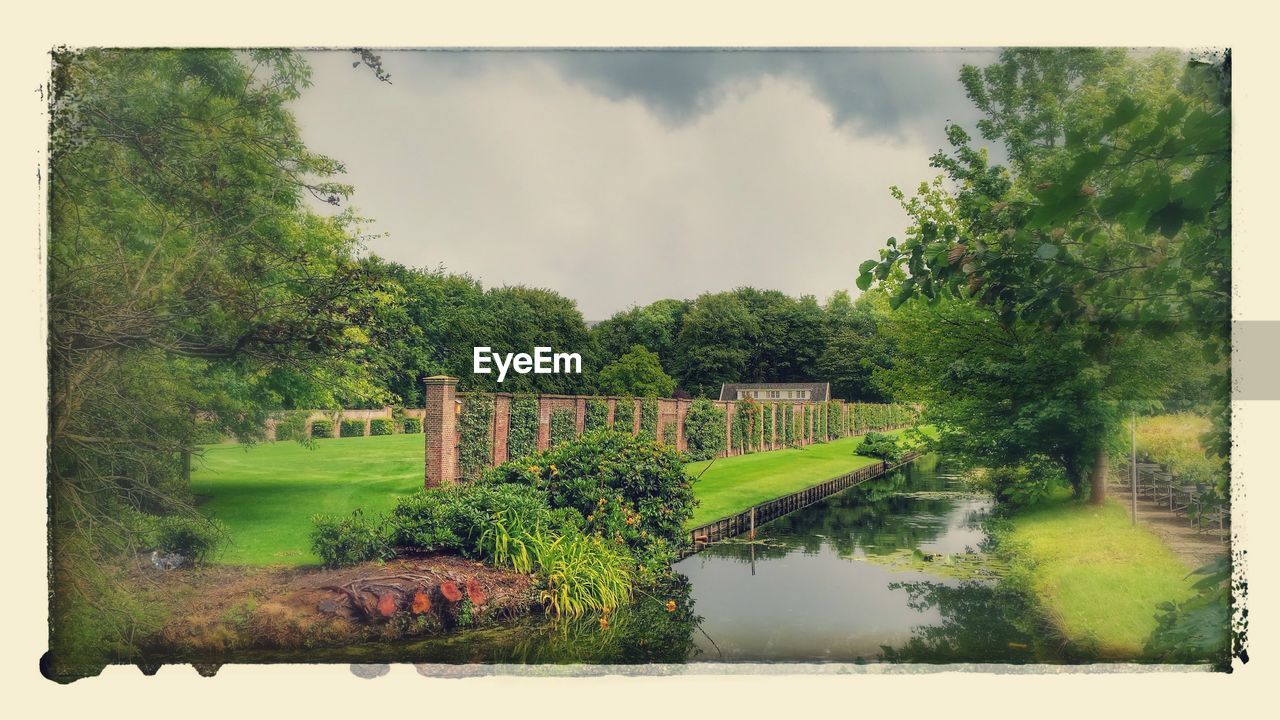 PANORAMIC SHOT OF TREES GROWING IN PARK AGAINST CLOUDY SKY