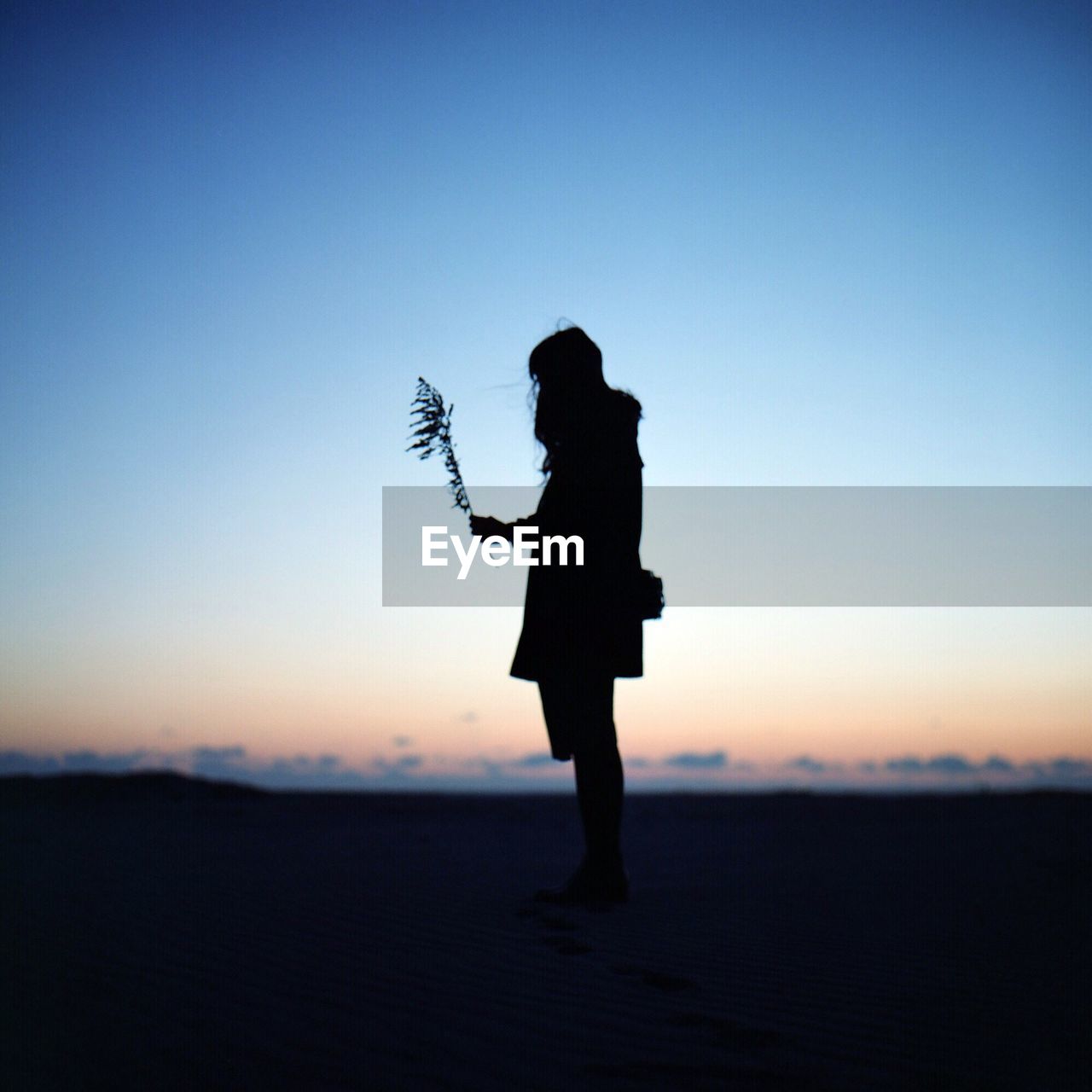 Silhouette woman holding plant while standing on sand during sunset