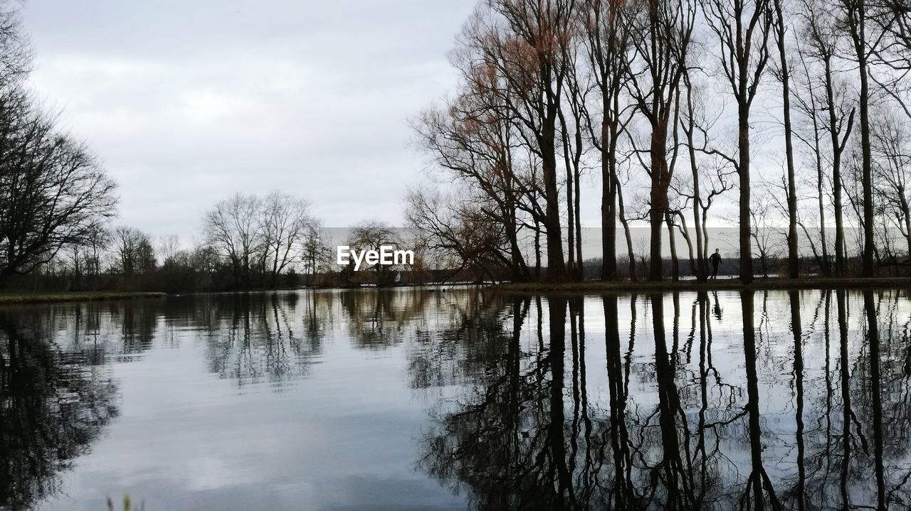 REFLECTION OF TREES IN LAKE