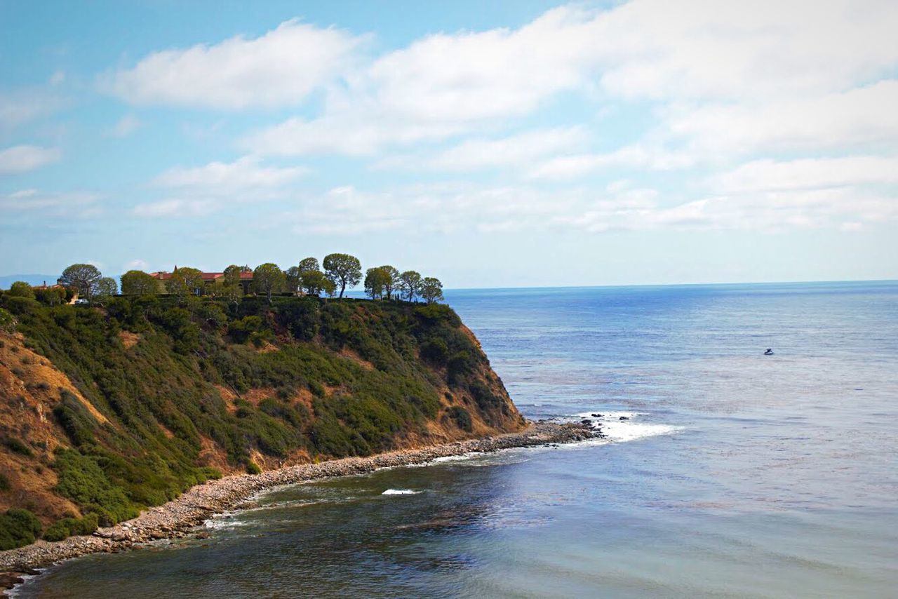 Trees growing on cliff at palos verdes peninsula against sky