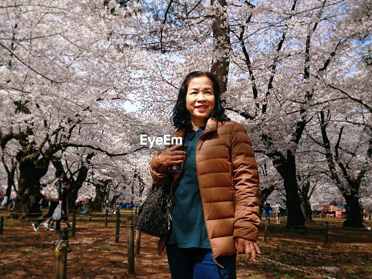 Senior woman smiling while standing against cherry blossoms at park