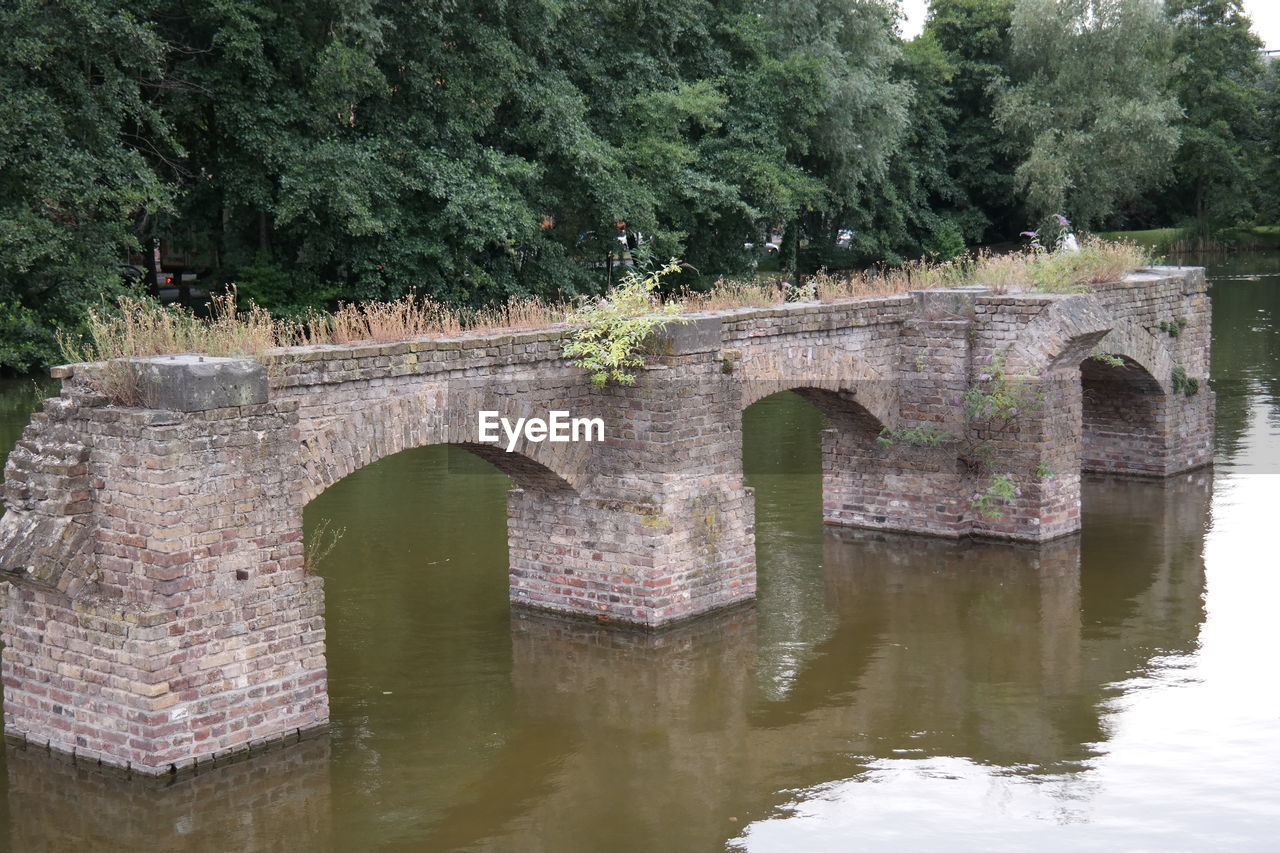 REFLECTION OF TREES ON BRIDGE