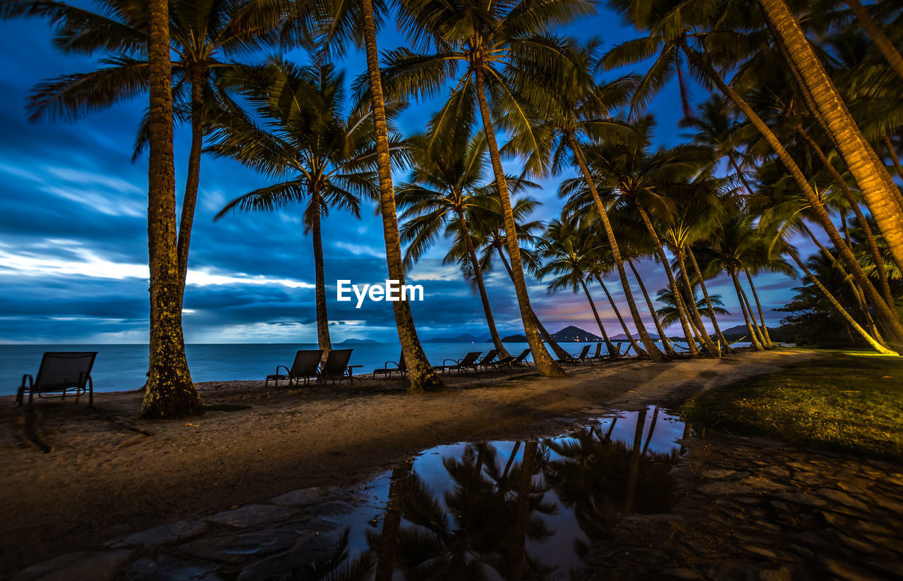 Coconut palm trees at beach against sky at dusk