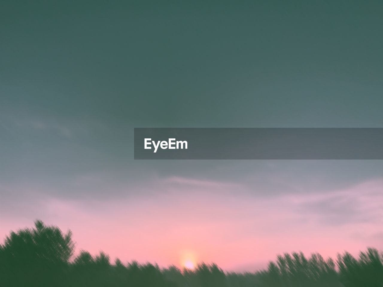 SCENIC VIEW OF TREES AGAINST SKY