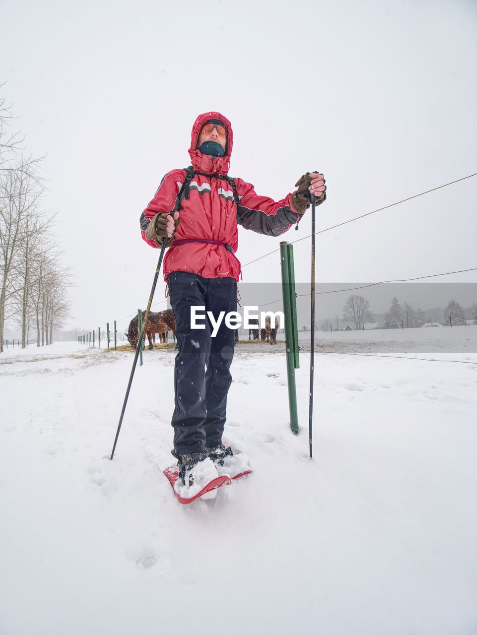 Winter hiking in mountains on snowshoes with a backpack. hiker walk around fence of horse paddock.