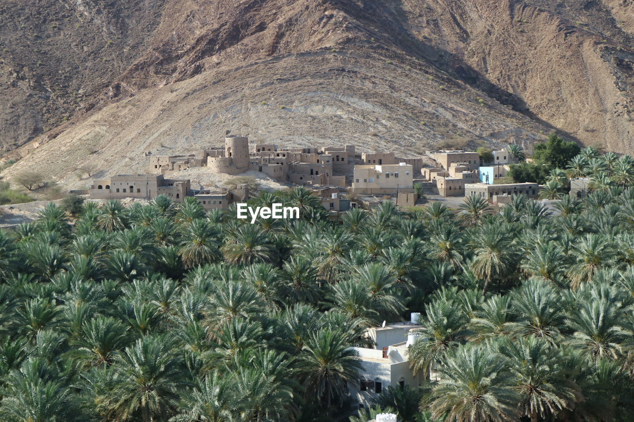 BUILDINGS AGAINST THE SKY WITH TREES IN BACKGROUND