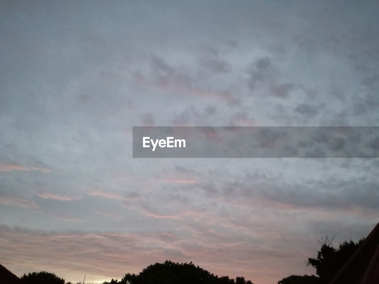 LOW ANGLE VIEW OF TREES AGAINST CLOUDY SKY