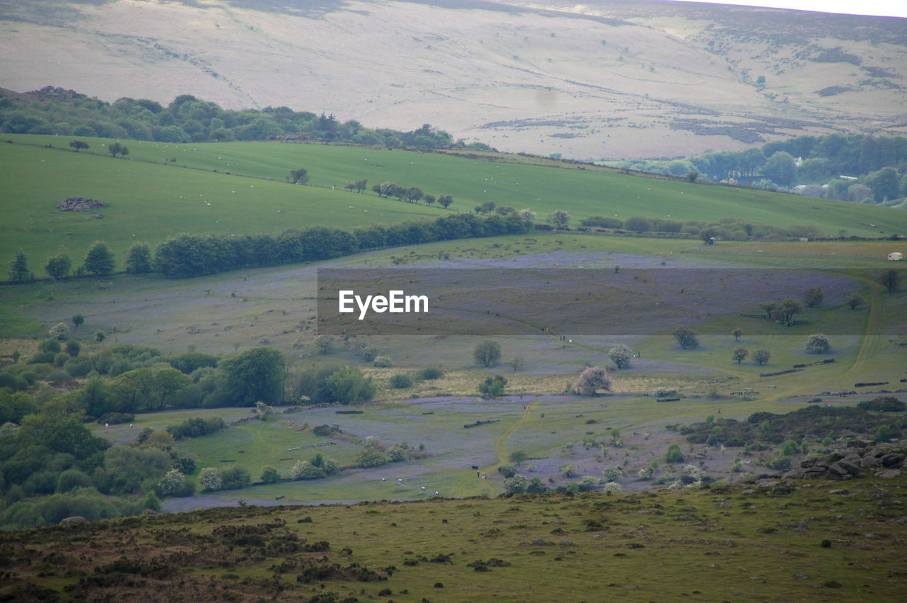 SCENIC VIEW OF FARM