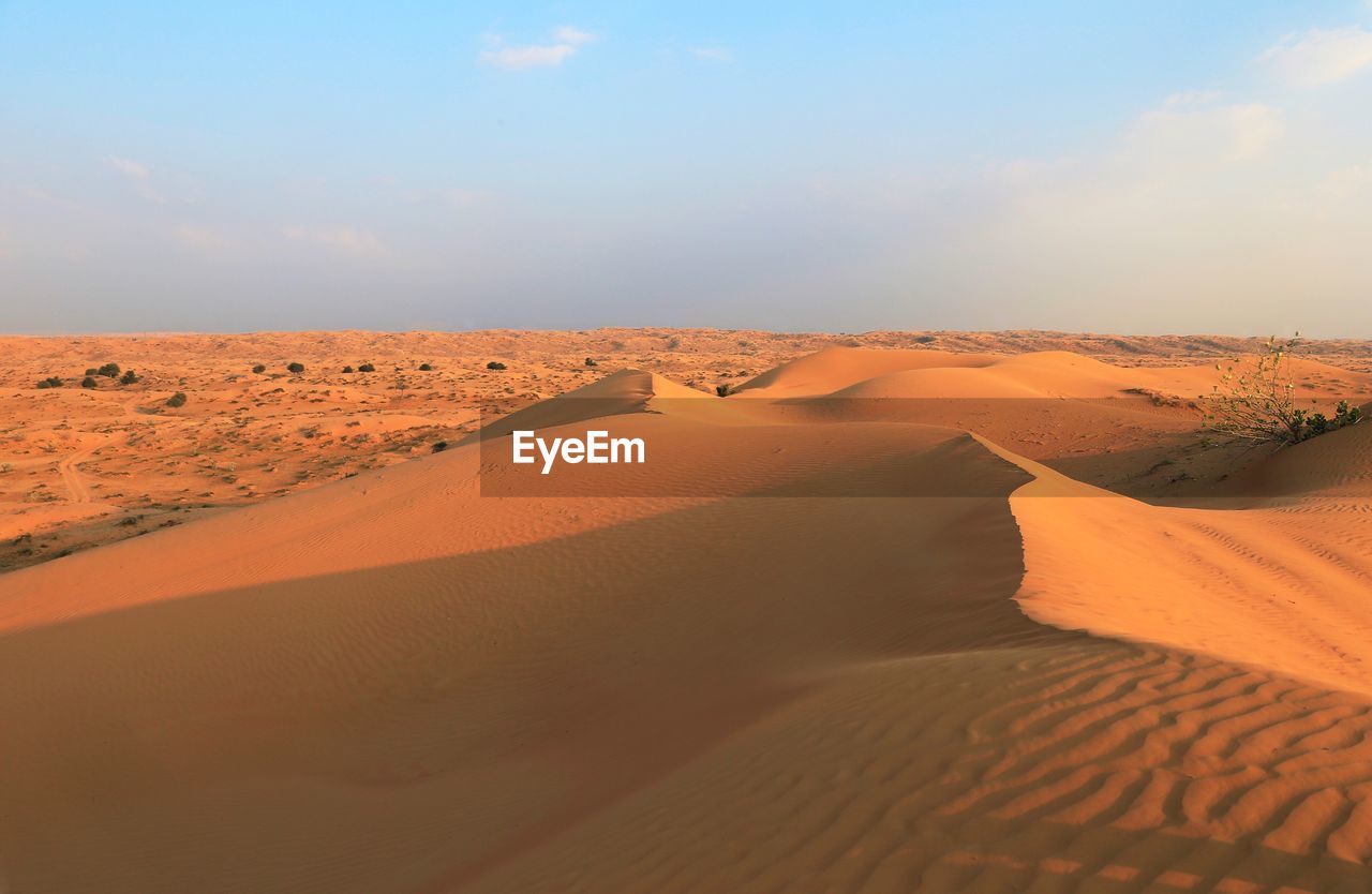 Sand dunes in desert against sky