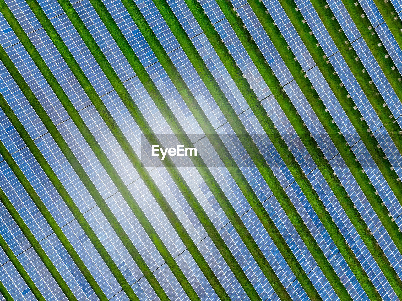 Solar farm and sun light. solar power for green energy. sustainable renewable energy. photovoltaic