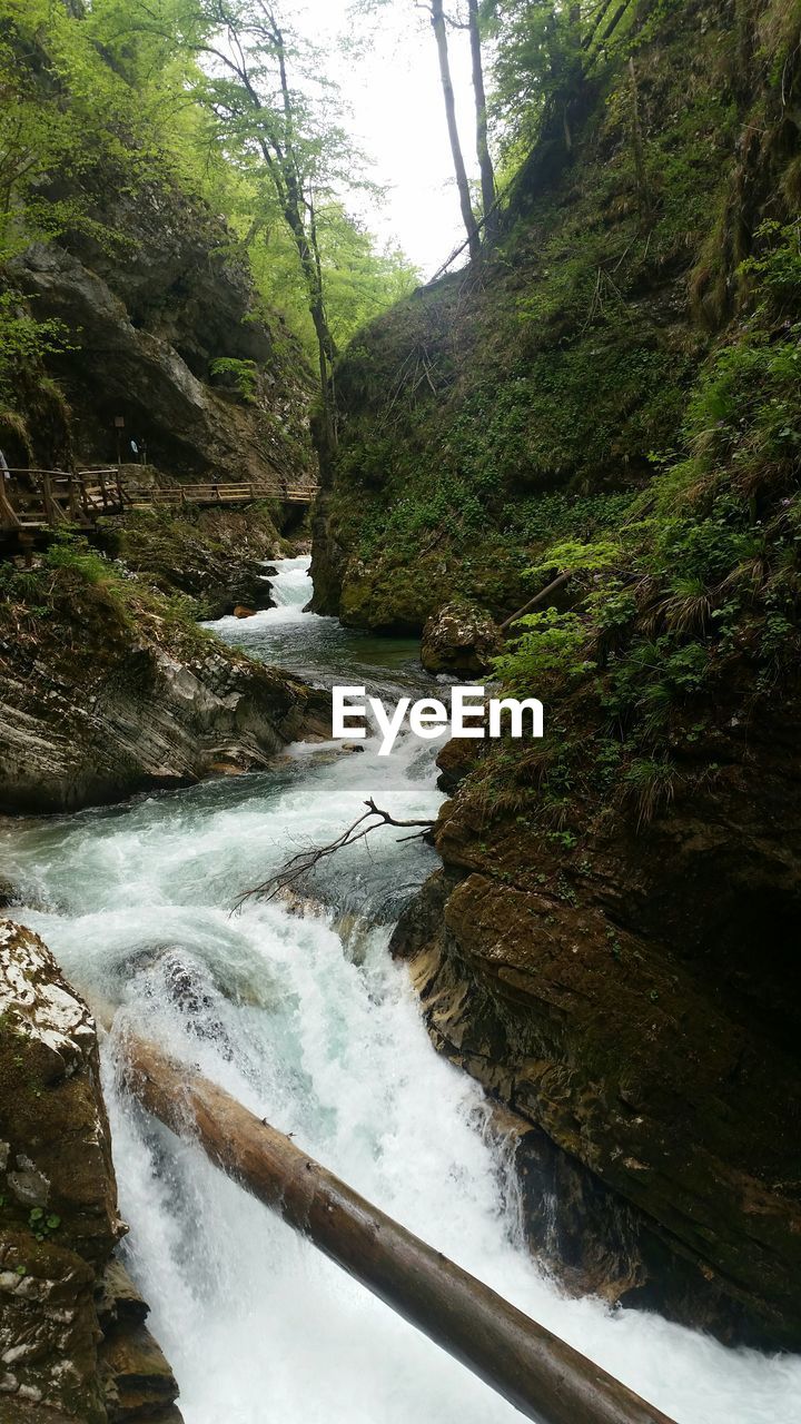 Scenic view of stream at vintgar gorge