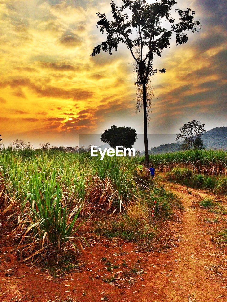 SCENIC VIEW OF LANDSCAPE AGAINST CLOUDY SKY