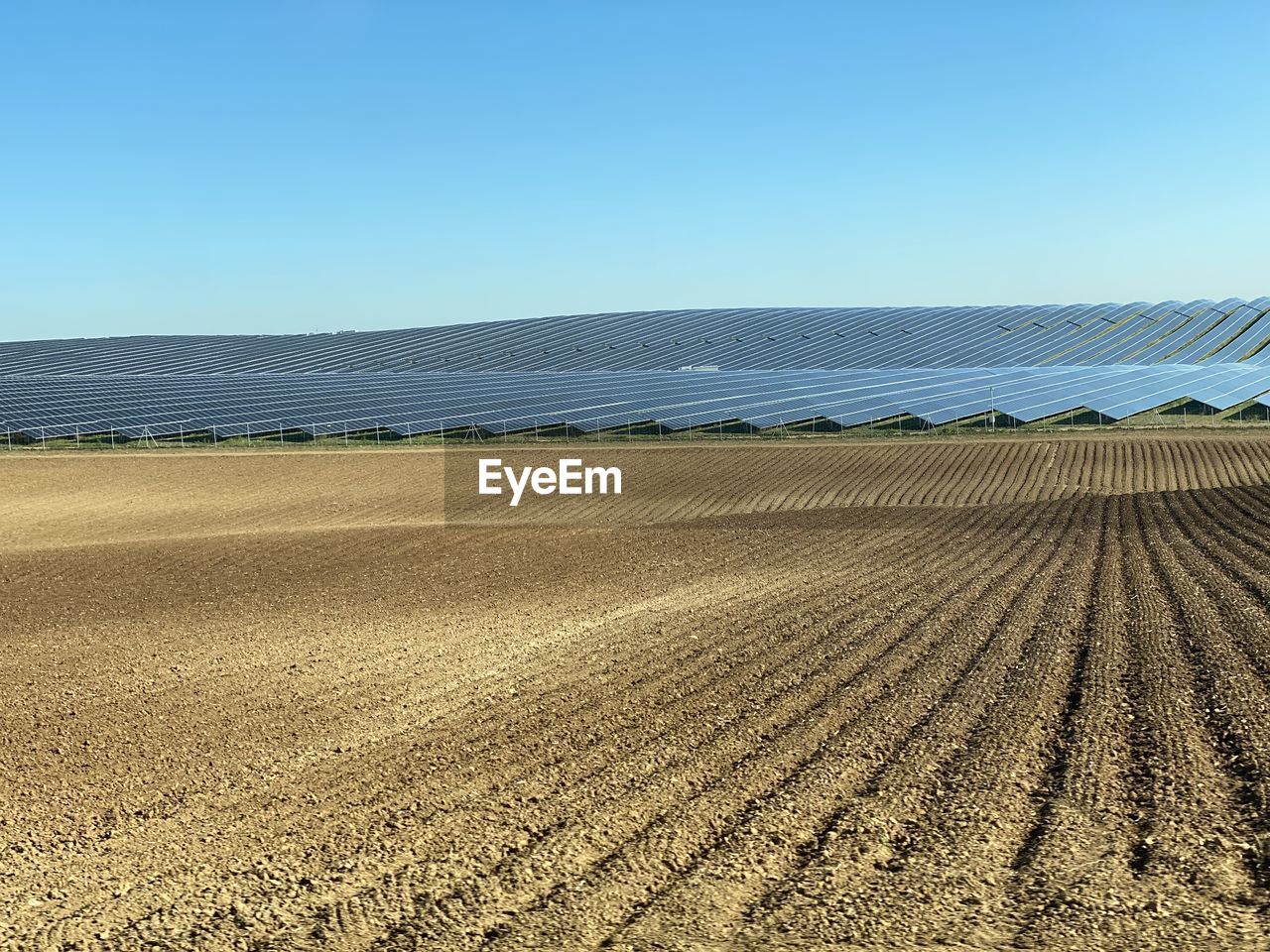 Scenic view of field against clear sky