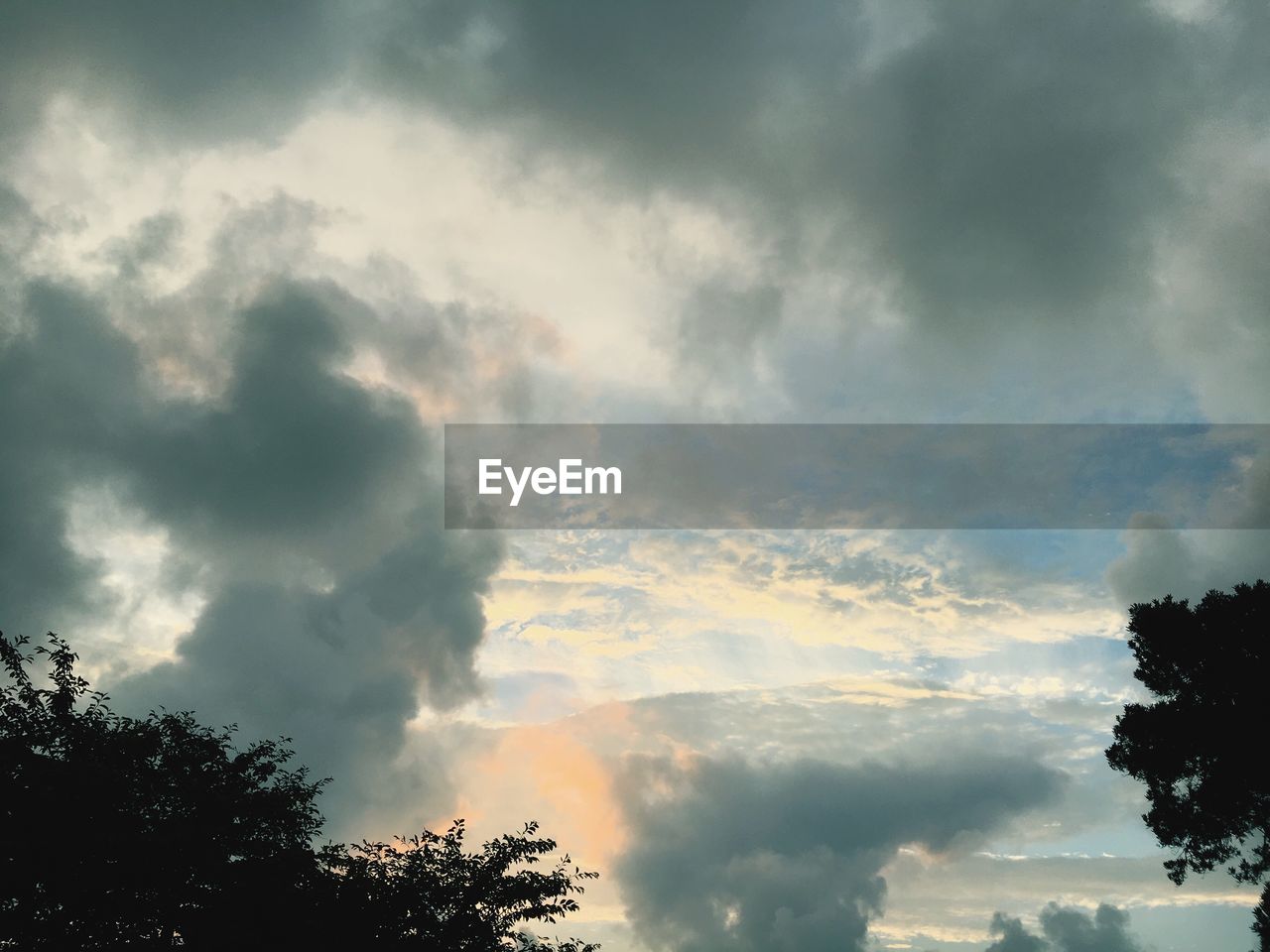 LOW ANGLE VIEW OF TREES AGAINST CLOUDY SKY